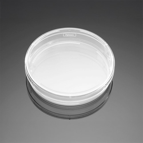Cell Culture Dishes