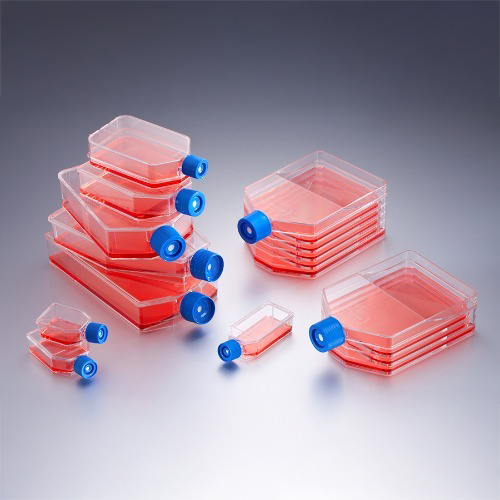 75cm² 250mL Canted Neck Flasks / 플라스크