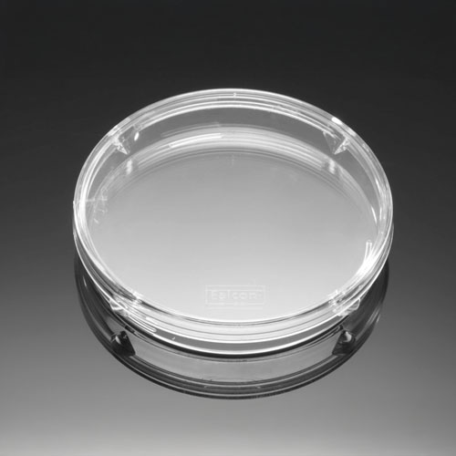 FalconⓇ Bacteriological Petri Dishes,Tight-fit Lid Dish / Tight-fit Lid 박테리아용 페트리 디쉬