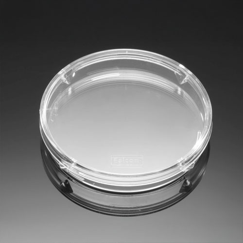 FalconⓇ Bacteriological Petri Dishes, Standard / 박테리아용 페트리 디쉬