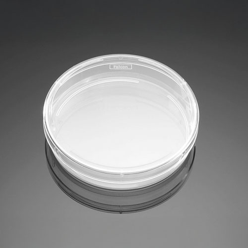 FalconⓇ Easy-Grip 60x15mm Cell culture Dishes / 60x15mm Easy-Grip타입 세포 배양 접시