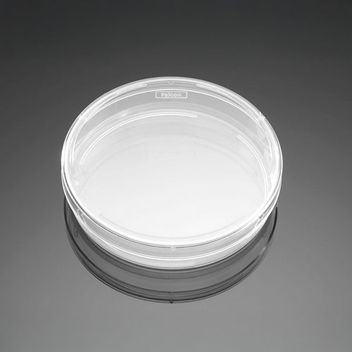 FalconⓇ Standard 60×15mm Cell culture Dishes / 60×15mm 세포 배양 접시