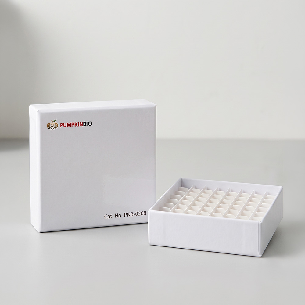 64 Hole PCR Cardboard Freezer Boxes/ 64홀 PCR 냉동 보관 박스