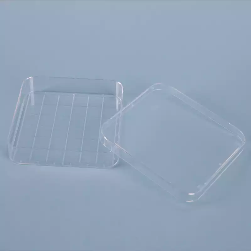 Square Petri Dish / 사각페트리디쉬, Polystyrene