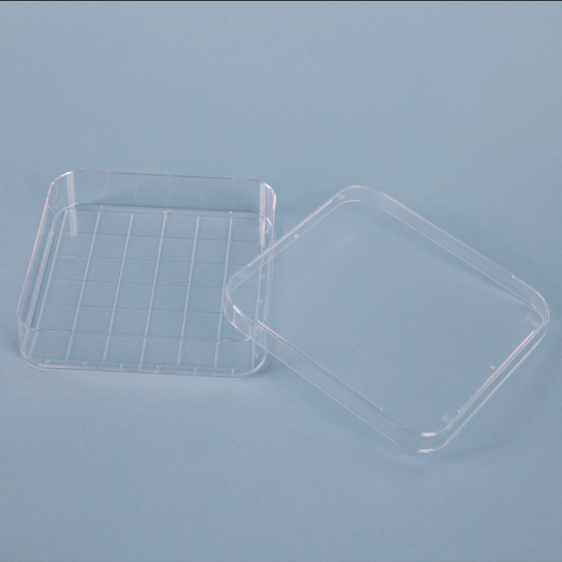 Square Petri Dish / 사각페트리디쉬, Polystyrene