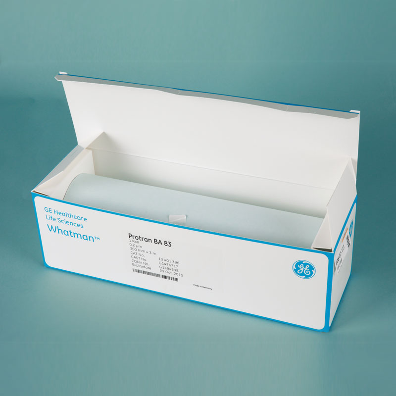 Whatman™ Blotting Membrane / 블로팅멤브레인