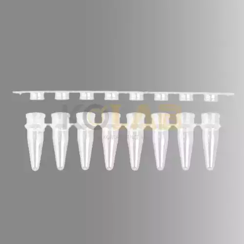 0.2ml 12Strips PCR® Tubes with Flat type