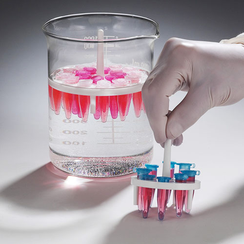 Economy Round Floating Racks / 라운드플로팅랙