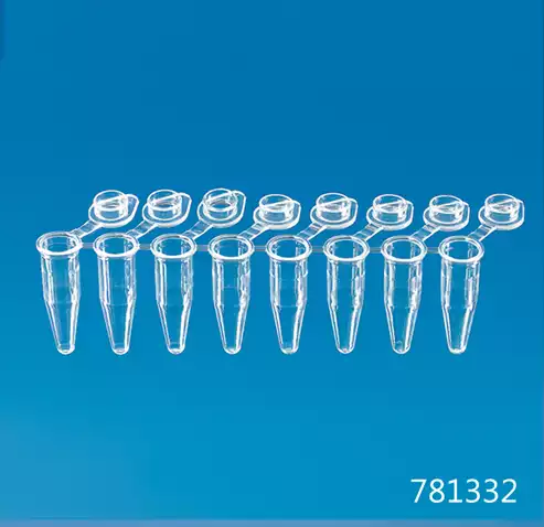 Strips of 8 PCR Tubes / 8PCR튜브스트립