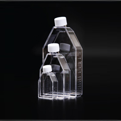 Cell Culture Flask