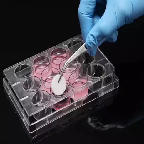 3D Cell Culture Plate