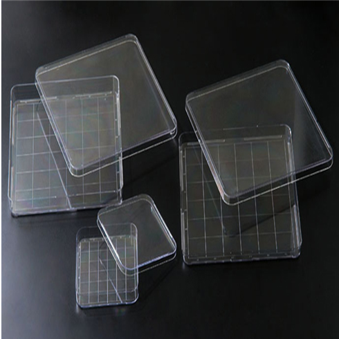 Square Dish