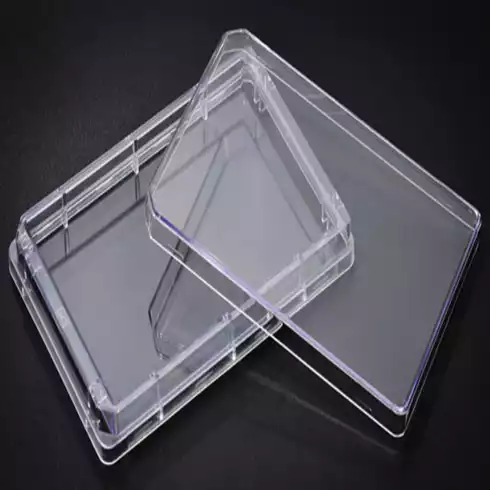 Tray Plate