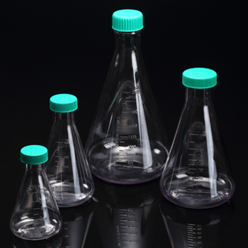 Erlenmeyer Flask