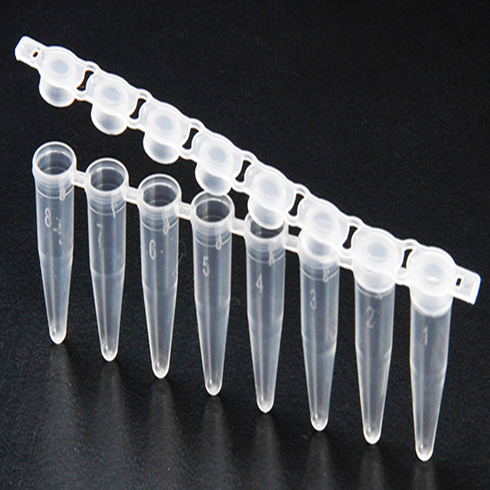 PCR Tube