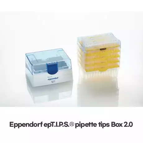 Eppendorf ep pipet tips / 에펜도르프ep피펫팁