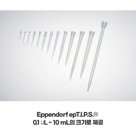 Eppendorf ep pipet tips / 에펜도르프ep피펫팁