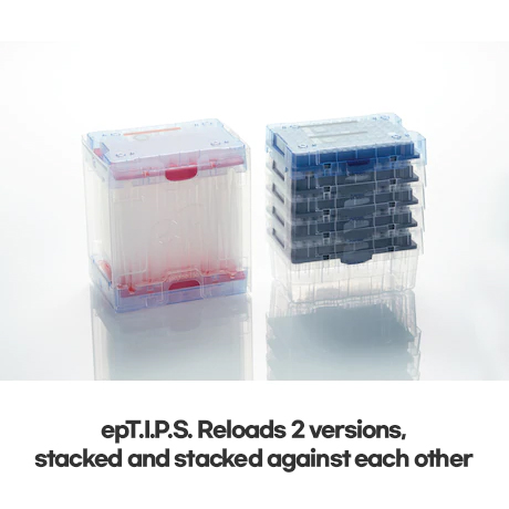 Eppendorf ep pipet tips / 에펜도르프ep피펫팁