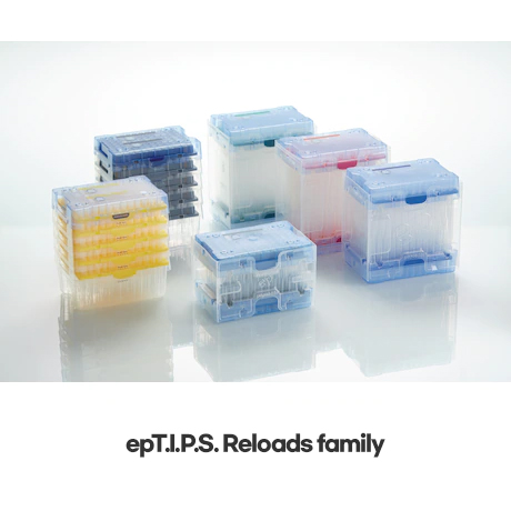 Eppendorf ep pipet tips / 에펜도르프ep피펫팁