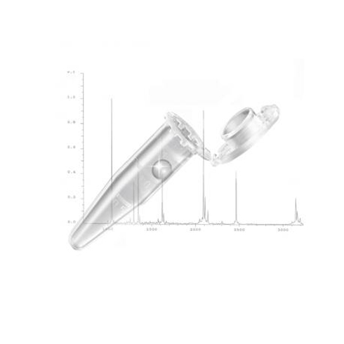 Eppendorf Protein LoBind Tubes / 에펜도르프Protein LoBind튜브