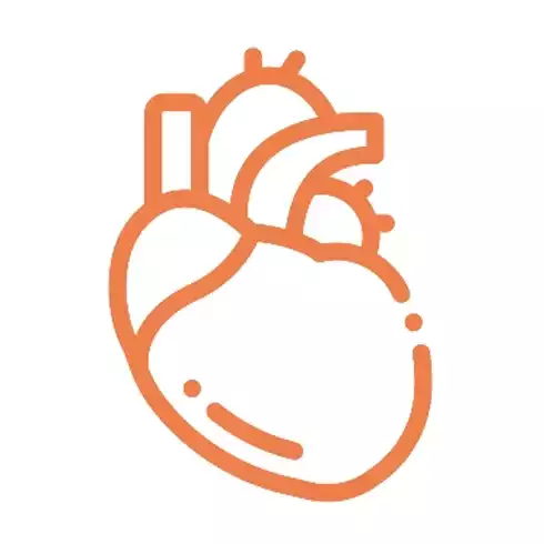 TissueSpec® Heart ECM Scaffold