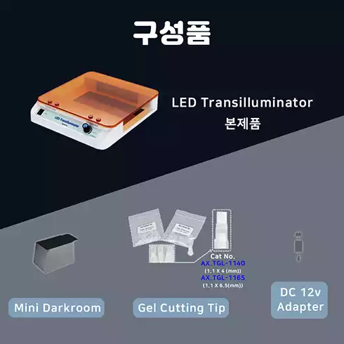 LED-Transilluinator / LED 트랜스일루미네이터