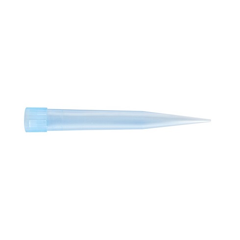 Blue Pipet Tips – 1,000 ul / 기본형 팁 (1000 ul)