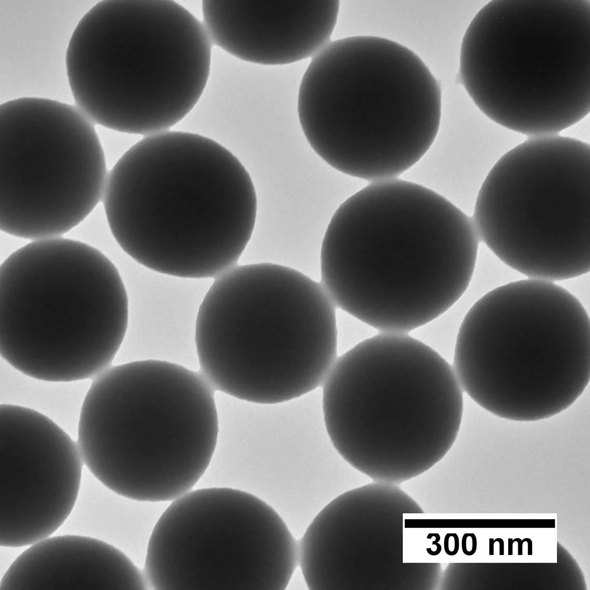 SISN300-100M, SISN500-100M, NanoXact Silica Nanospheres  300 nm, 10 mg/ mL in water/ 실리카 나노입자