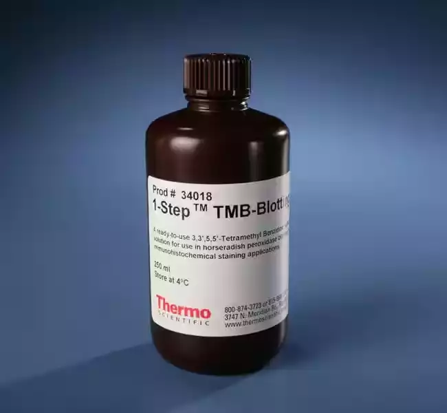 1-Step™ TMB-Blotting Substrate Solution