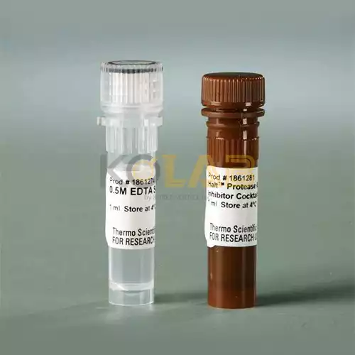 78440, Thermo Scientific™ Halt™ Protease and Phosphatase Inhibitor Cocktail (100X)