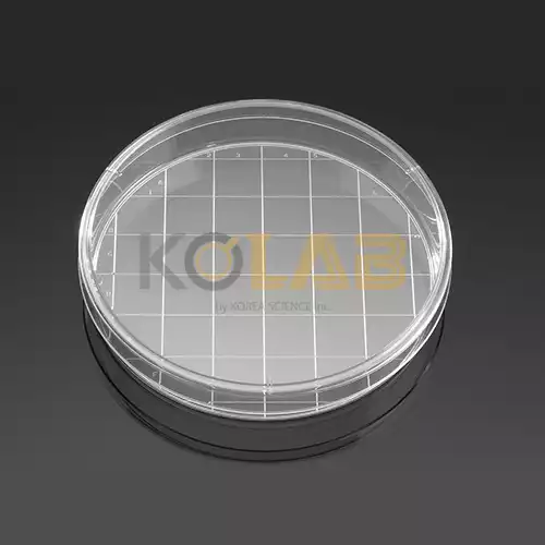 FalconⓇ Gridded 150×25mm Cell Culture Dishes / 150×25mm 세포 배양 접시 (격자포함)