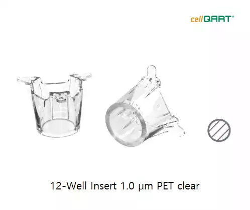 cellQART® Cell Culture Inserts and Pre-loaded Well Plates