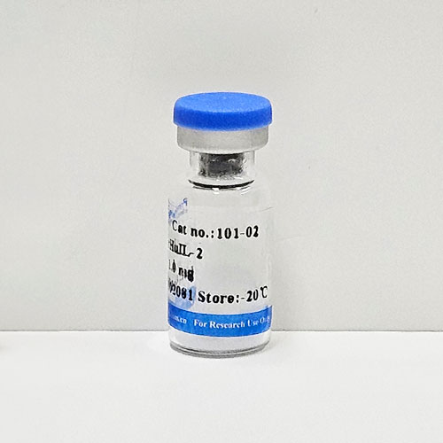 Recombinant Human Interleukin IL-2 / 면역세포 증식용 Cytoikine