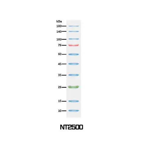NTO™, NT2500, 3-color Regular Range Protein Marker (9-180 kDa)