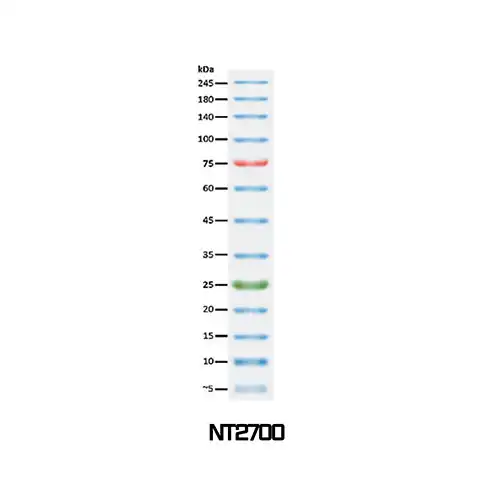 NTO™, NT2700, 3-color Broad Range Protein Marker (3.5-245 kDa)