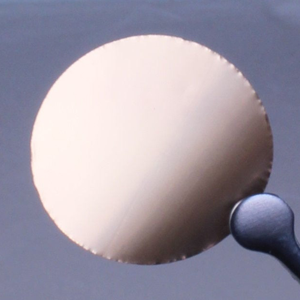 Sterlitech Polycarbonate (PCTG) Gold-Coated Membrane Filters/ 폴리카보네이트 골드코티드 멤브레인필터