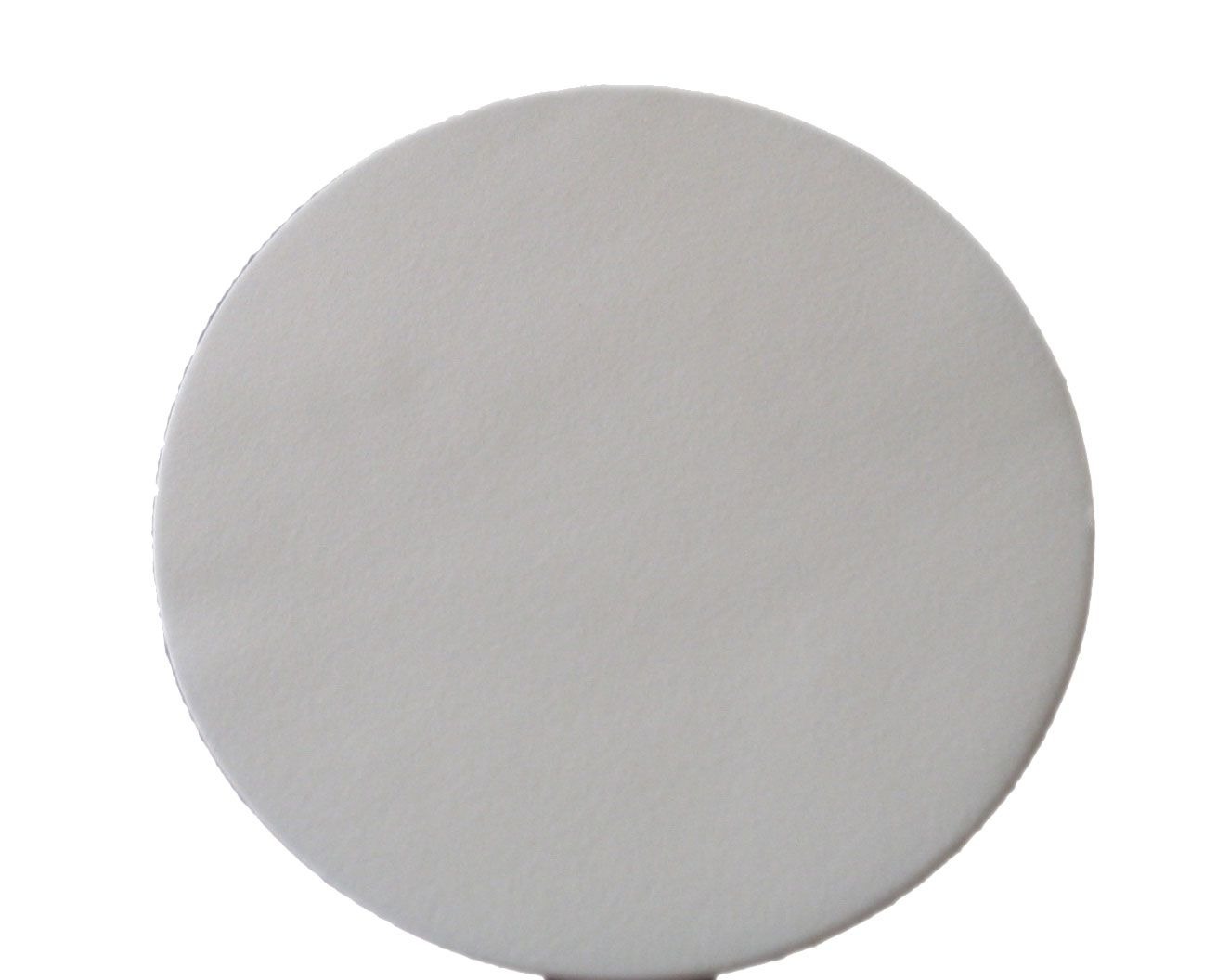 Sterlitech Polyester (PETE) Drain Disc/ 폴리에스터 배수 디스크